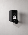 Apache Chassis Rotating Speaker Wallmount