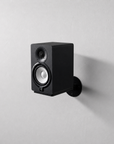 Apache Chassis Rotating Speaker Wallmount