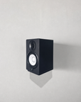 Apache Chassis Rotating Speaker Wallmount