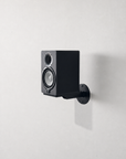 Apache Chassis Rotating Speaker Wallmount