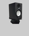 Apache Chassis Rotating Speaker Wallmount