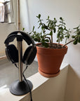 Apache Arch Headphone Stand