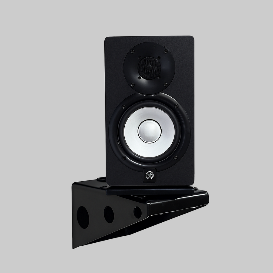 Apache Chassis Rotating Speaker Wallmount