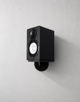 Apache Chassis Rotating Speaker Wallmount