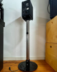 Apache Hammerhead Speaker Stands (Stainless Steel)