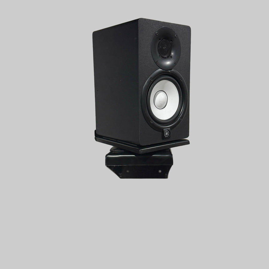 Apache Chassis Rotating Speaker Wallmount