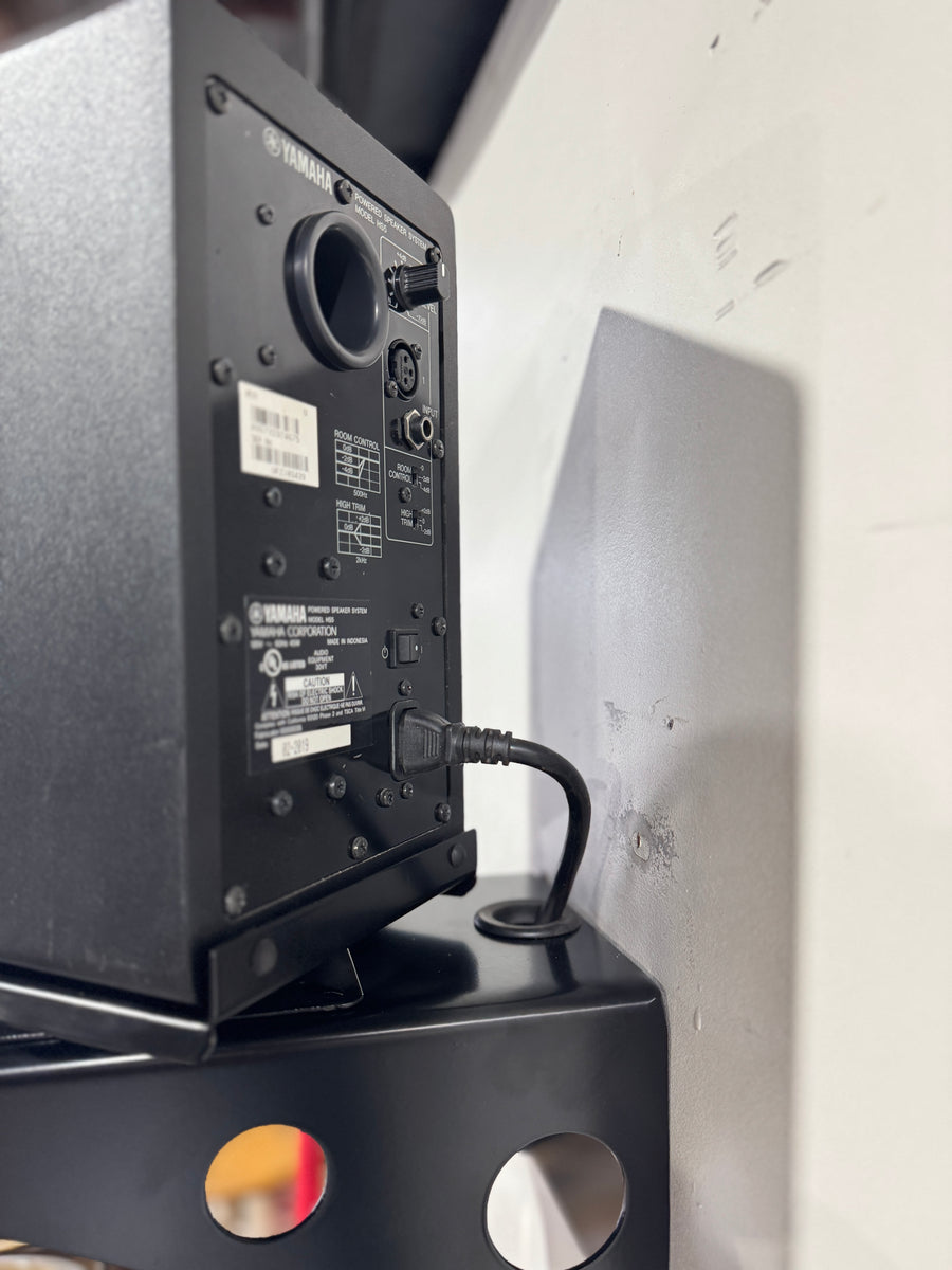 Apache Chassis Rotating Speaker Wallmount